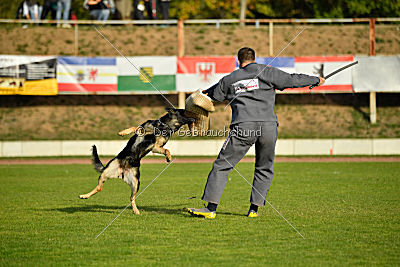 Tawa vom bösen Bruderblick