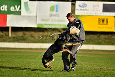 Tawa vom bösen Bruderblick