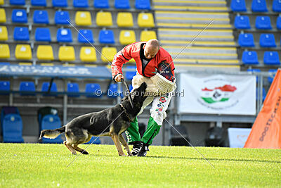 Teofil von der Winterschal