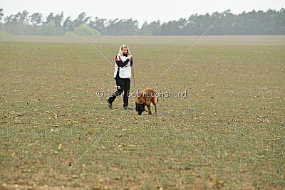 Thais out of Nastravik