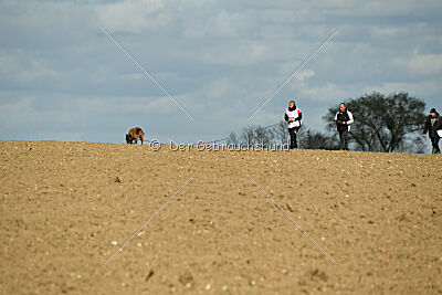 Thais out of Nastravik