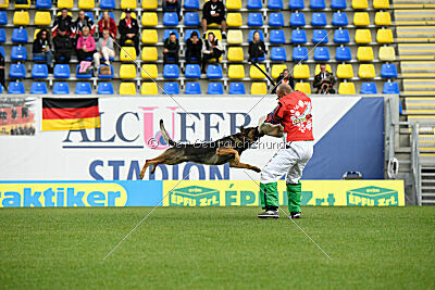 Theo vom Schopperweg