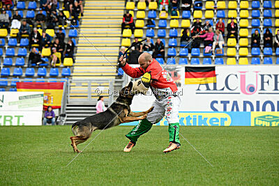 Theo vom Schopperweg