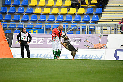 Theo vom Schopperweg