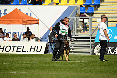 Theo vom Schopperweg