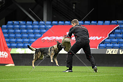 Thiarco Extra-Terrestrial