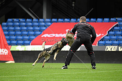 Thiarco Extra-Terrestrial