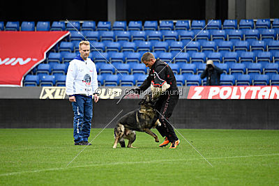 Thiarco Extra-Terrestrial