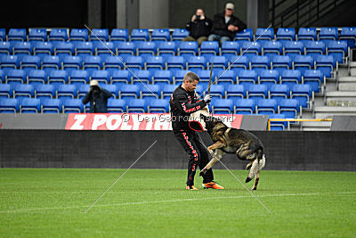 Thiarco Extra-Terrestrial