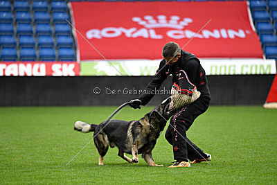 Thiarco Extra-Terrestrial