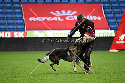 Thiarco Extra-Terrestrial