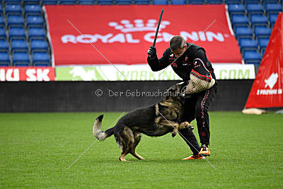 Thiarco Extra-Terrestrial