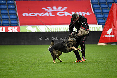 Thiarco Extra-Terrestrial