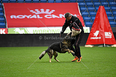 Thiarco Extra-Terrestrial