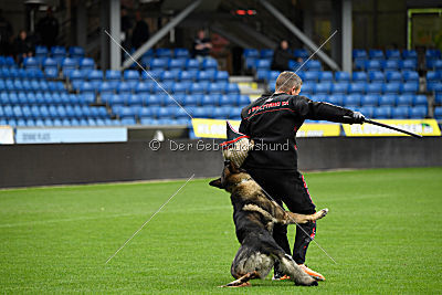 Thiarco Extra-Terrestrial