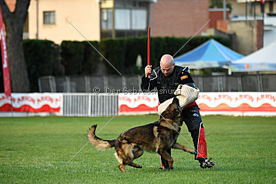 Thibo van Hamersslag