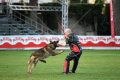 Thibo van Hamersslag