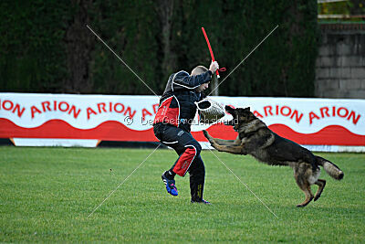 Thibo van Hamersslag