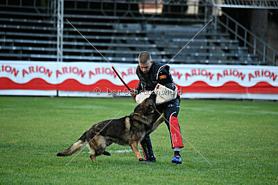 Thibo van Hamersslag