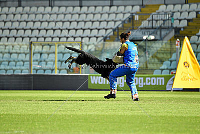 Thor van Sallandbloed