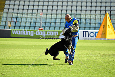 Thor van Sallandbloed