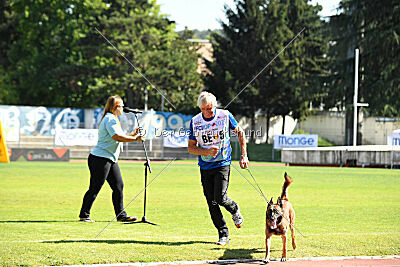 Thorr vom Hause Verda's