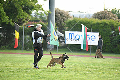 Thorr vom Hause Verda's