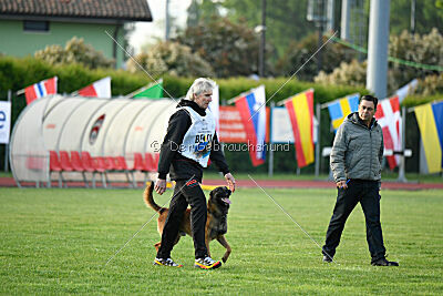 Thorr vom Hause Verda's