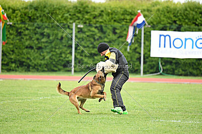 Thorr vom Hause Verda's