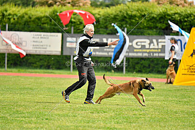 Thorr vom Hause Verda's