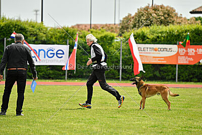 Thorr vom Hause Verda's