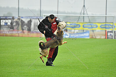 Thyrion de la Mamba Noire