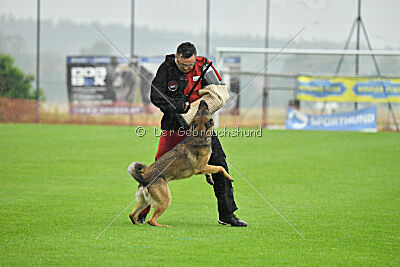 Thyrion de la Mamba Noire