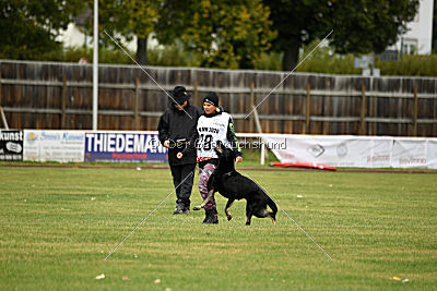Timberley vom Wolfsdreieck