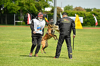 Tito Running Wild