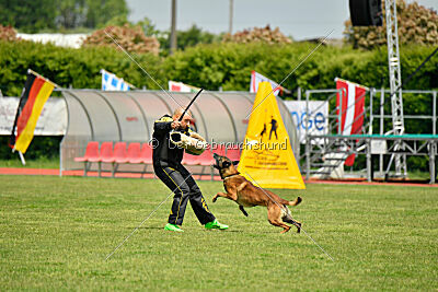 Tito Running Wild