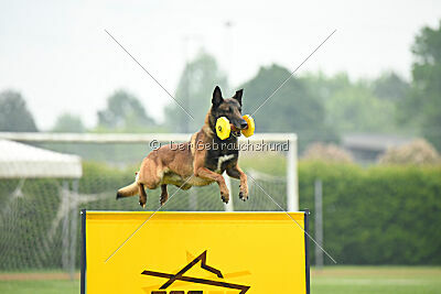 Tito Running Wild