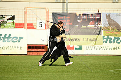 Titus vom Waisagrund