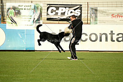 Titus vom Waisagrund