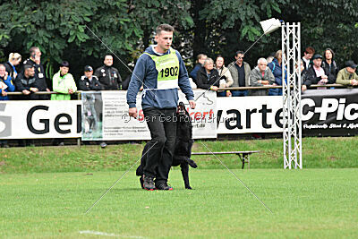 Titus vom Waisagrund