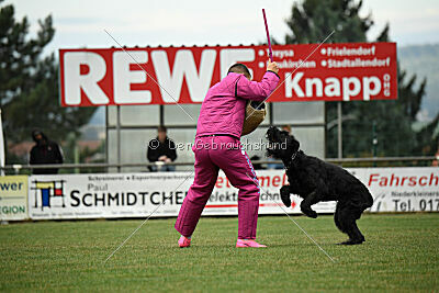 Tornado von Elberfeld