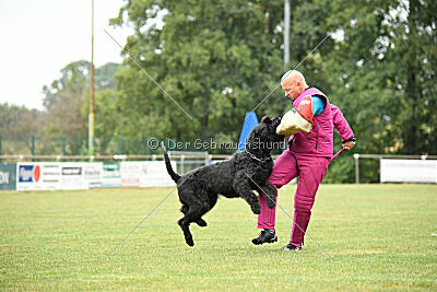 Tornado von Elberfeld