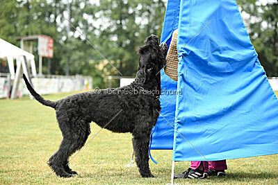 Tornado von Elberfeld