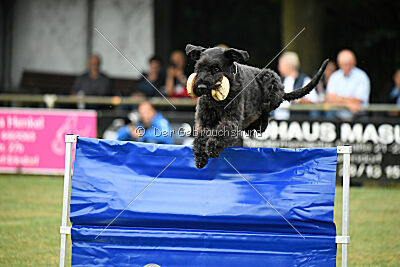 Tornado von Elberfeld