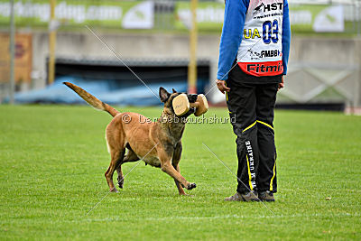 Torpeda iz Komandy Azart