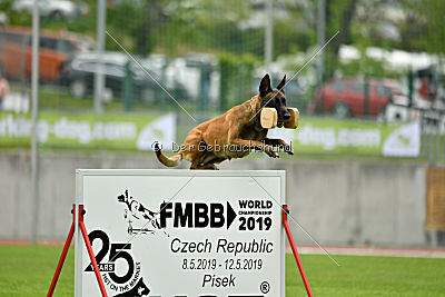 Torpeda iz Komandy Azart