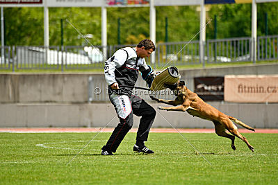 Torpeda iz Komandy Azart