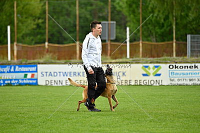 Toxi vom Further Moor