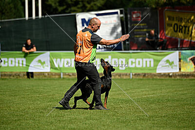 Tribun vom Hellerwald