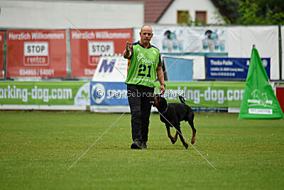 Tribun vom Hellerwald